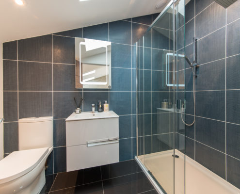 GreenView-45.jpg Master Shower Room